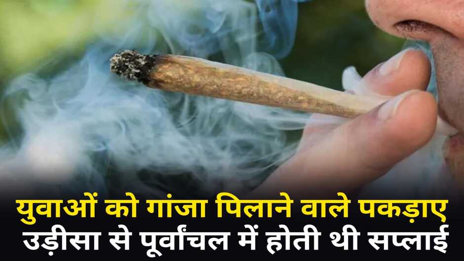 Chandauli News: पूर्वांचल में युवाओं को गांजा पिलाने वाले तस्कर पकड़ाए, उड़ीसा से करते थे गांजा की सप्लाई