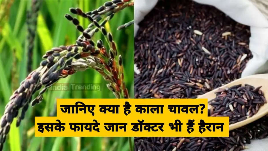 Know what is black rice? Even doctors are surprised to know its benefits