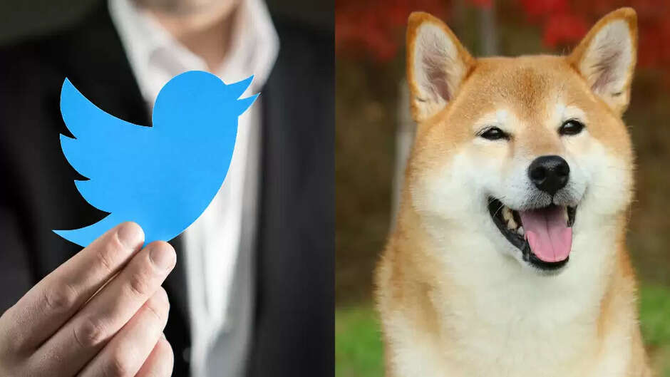 Twitter Logo Changed: अब ट्विटर से चिड़िया गायब कुत्ते का कब्जा, Elon Musk ने डॉगी को बनाया नया Logo