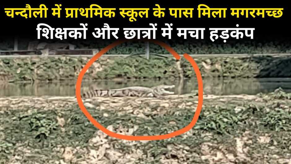 chandauli news, chandauli hindi news, chandauli today news, chandauli samachar, chandauli today news in hindi, chandauli today hindi news, chandauli latest news, chandauli news update, chakia chandauli news, chandauli news in hindi, chandauli crime news, chandauli video news, chandauli police news, chandauli latest news, chandauli crime news, chandauli dm news, chandauli breaking news, chandauli encounter, chandauli police encounter, chandauli police badmash encounter, chandauli saiyadraja encounter, chandauli encounter news