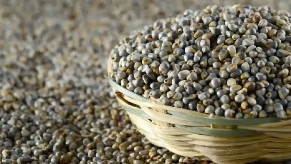 bajre ke fayde,bajre ki roti ke fayde,bajre ki roti khane ke fayde,bajra ke fayde,bajre ki roti,bajra khane ke fayde,bajre ki roti ke fayde in urdu,bajre ki roti ke fayde aur nuksan,pearl millet roti ke fayde,jwar bajre ki roti ke fayde,bajre ki roti ke fayde in hindi,bajra,bajara ke fayde,bajre ki roti for weight loss,bajare ke chamatkari fayde,bajre ke fayde in hindi,bajre ke laddu khane ke fayde,bajre ki roti benefits in urdu,bajre ke fayde aur nuksan