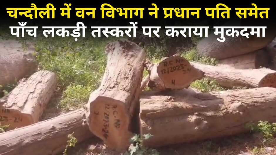 Chandauli News: चन्दौली में वन विभाग ने प्रधान पति समेत पाँच लकड़ी तस्करों पर कराया मुकदमा