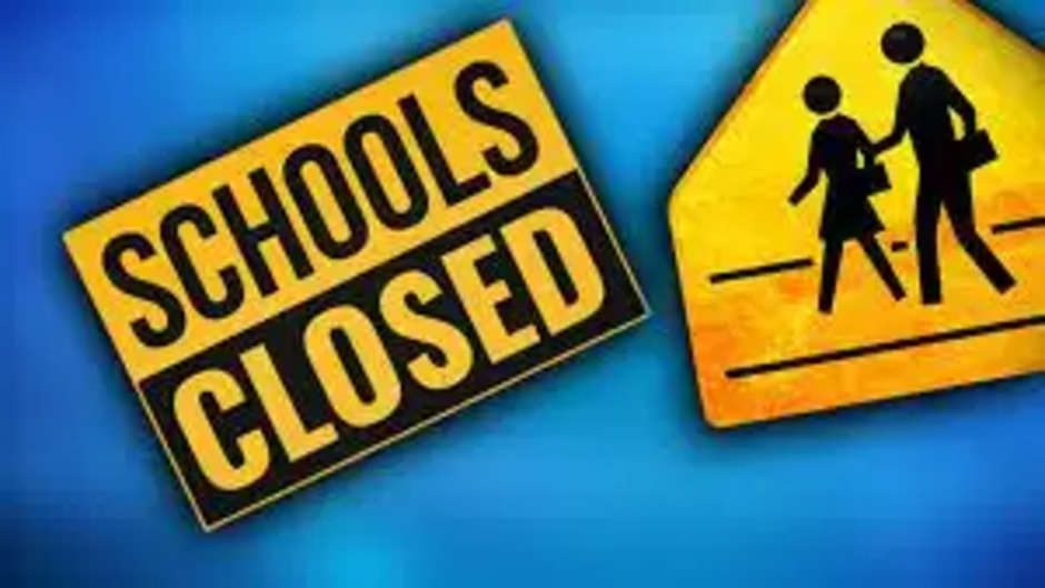 School closed: कोरोना संक्रमण के खतरे को लेकर सरकार का बड़ा फैसला, सभी स्कूलों को फिर से बंद करने का आदेश... 