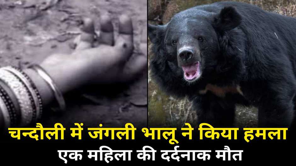 Chandauli News: चन्दौली में सत्यवान को बचाने में गयी सावित्री की जान, जंगली भालू से लड़ गयी महिला, दर्दनाक मौत