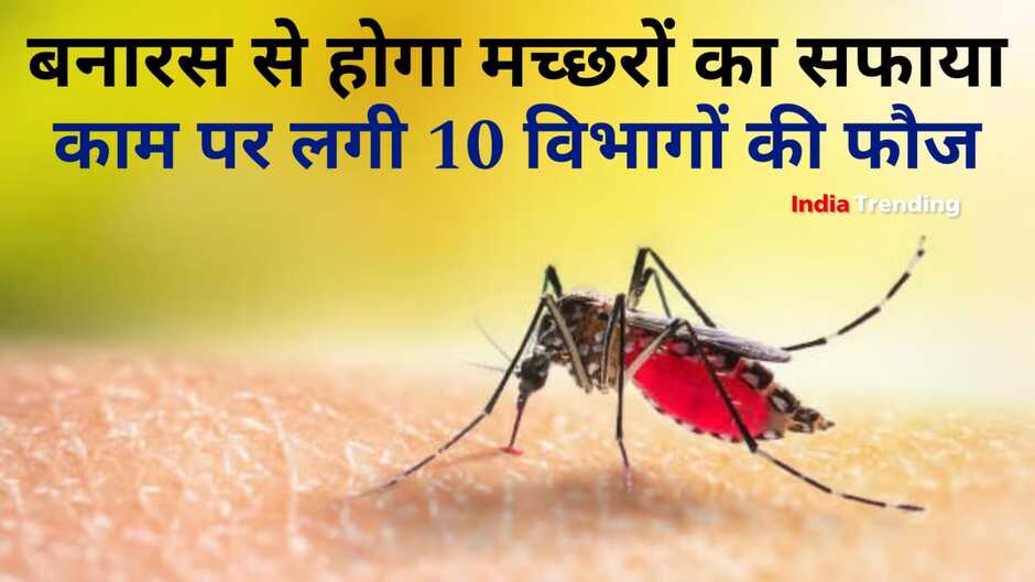 dengue fever,dengue cases,dengue symptoms,dengue in varanasi,dengue virus,dengue treatment,varanasi news,delhi dengue news,breaking news,dengue cases in india,dengue varanasi,dengue fever treatment,dengue mosquito,dengue in varanasi 2021,dengue cases in varanasi,dengue cases in up,dengue cases in uttar pradesh, varanasi news in hindi, varanasi hindi news, varanasi dengue news, dengue cases in varanasi