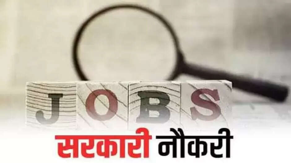 Sarkari Naukri Result 2023: नए साल में युवाओं के लिए इन विभागों में नौकरियां,देखिये कैसे करना होगा आवेदन